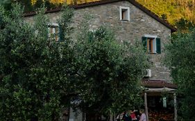 Agriturismo I Due Ghiri - Cinque Terre